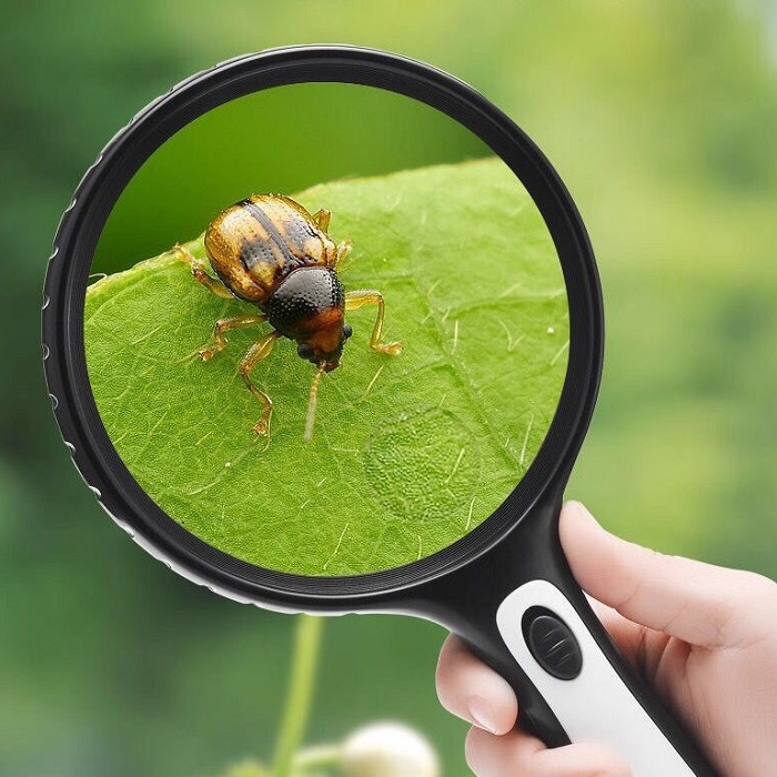 Kính lúp cầm tay k145 đường kính khổng lồ 145mm phóng đại 10 lần