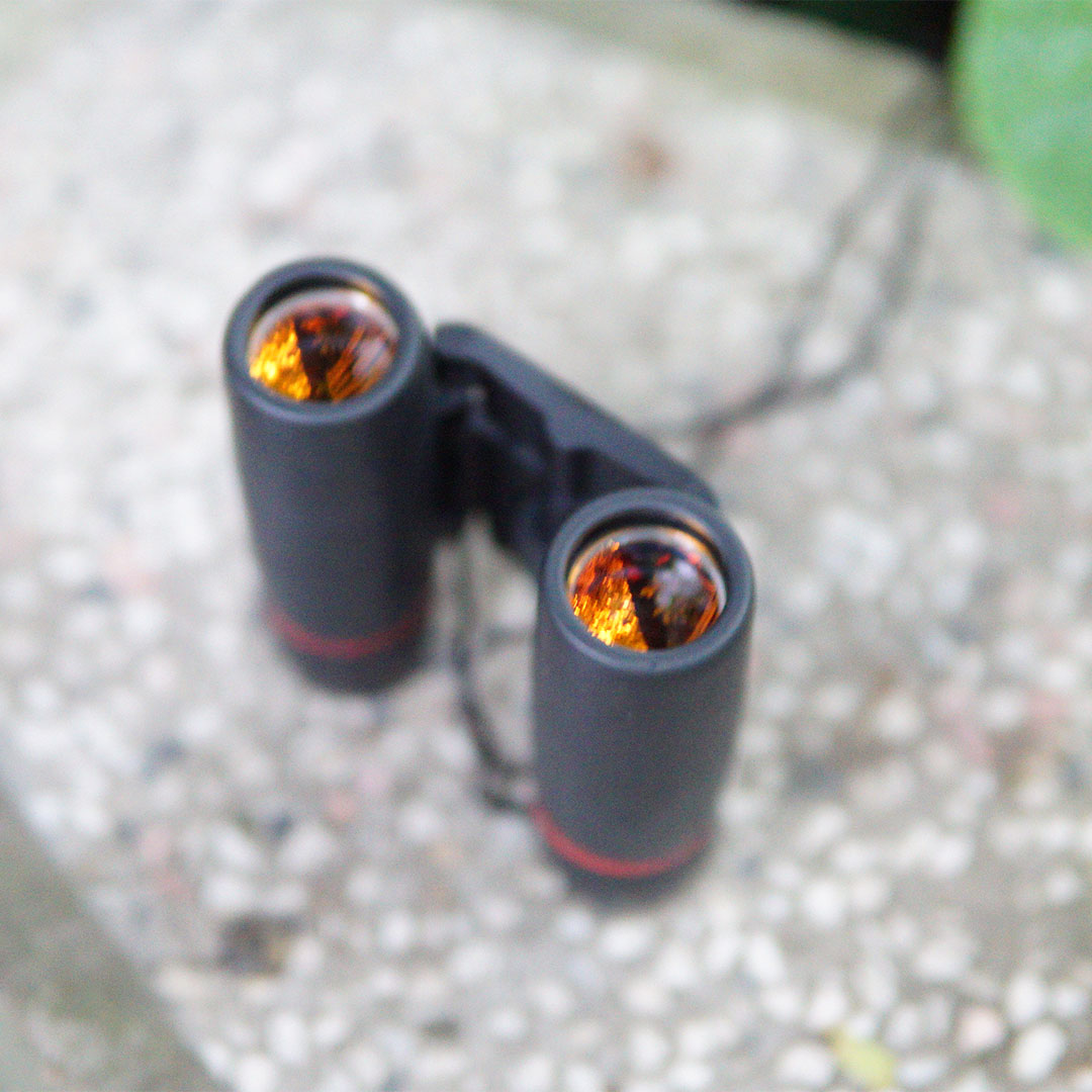 Ống nhòm 2 mắt Sakura 30x60 Mini