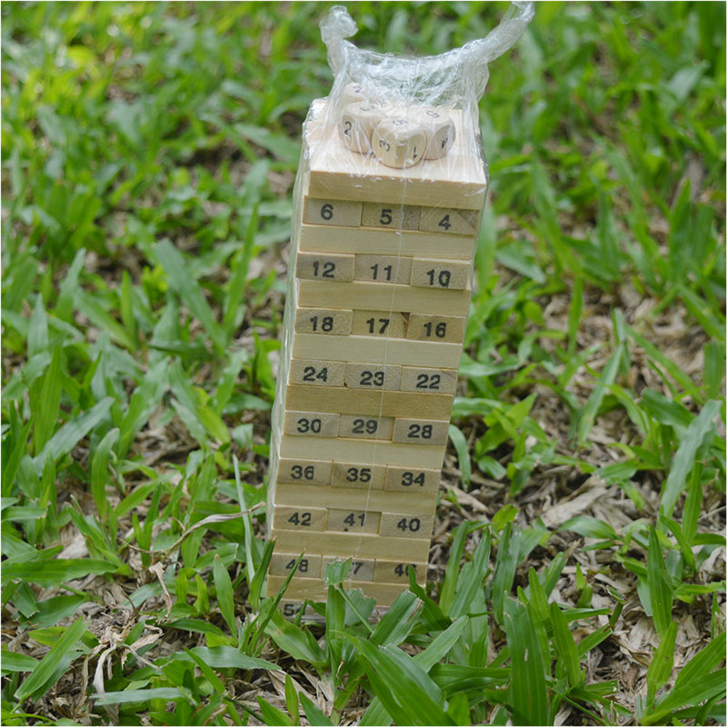 Bộ đồ chơi rút gỗ mini N6 cho bé - Có đánh số thứ tự Wiss Toys