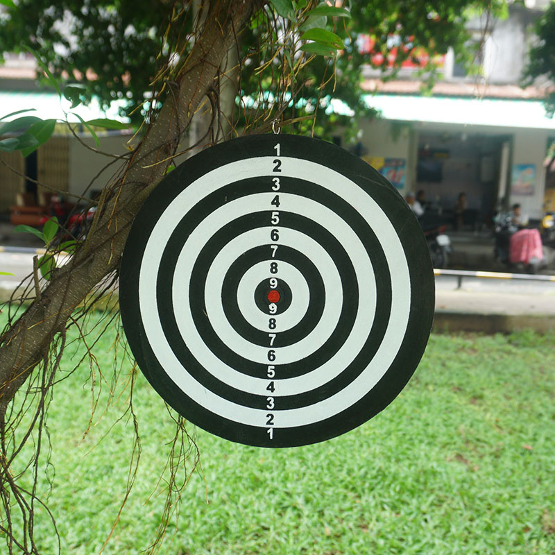 Đồ chơi phi tiêu