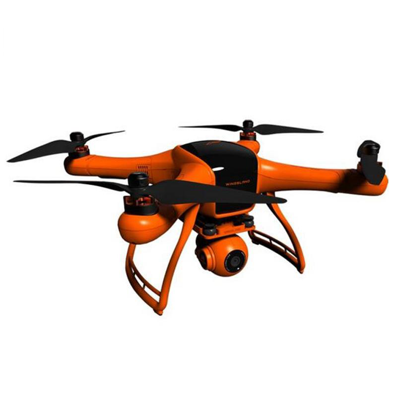 Flycam Wingsland Minivet