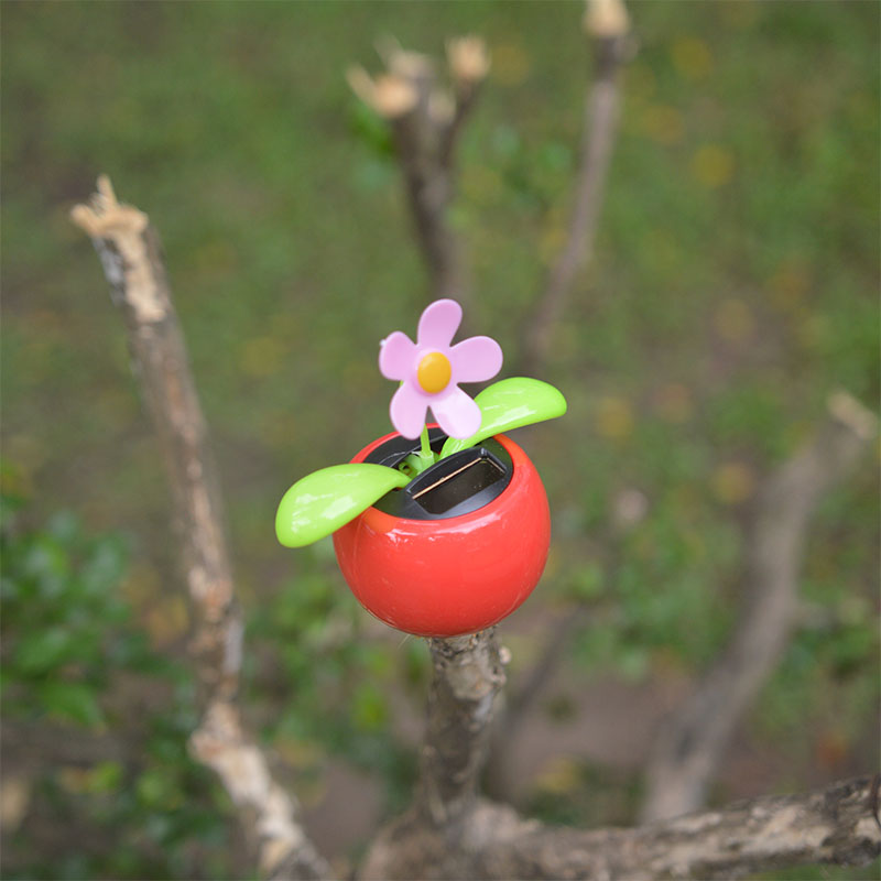 Hoa lúc lắc năng lượng mặt trời