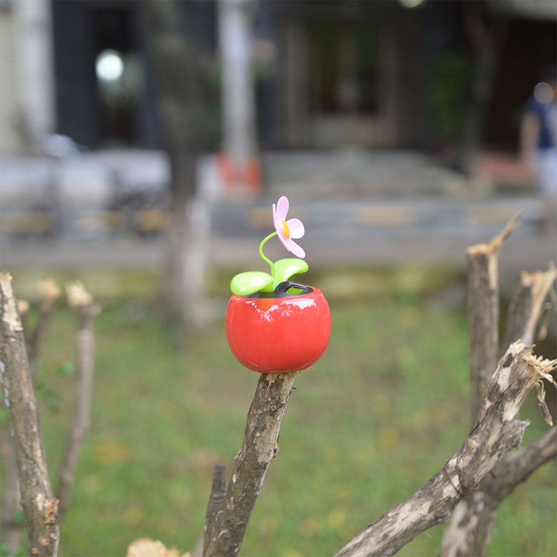 Hoa lúc lắc năng lượng mặt trời