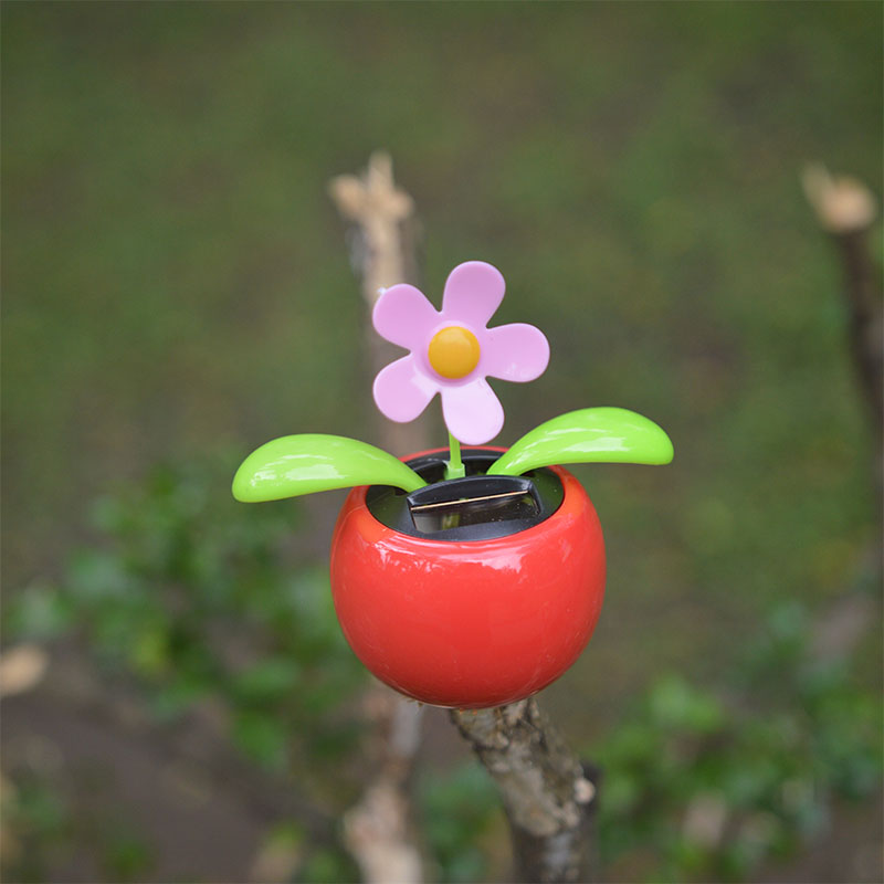 Hoa lúc lắc năng lượng mặt trời