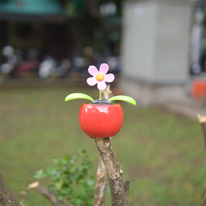 Hoa lúc lắc năng lượng mặt trời