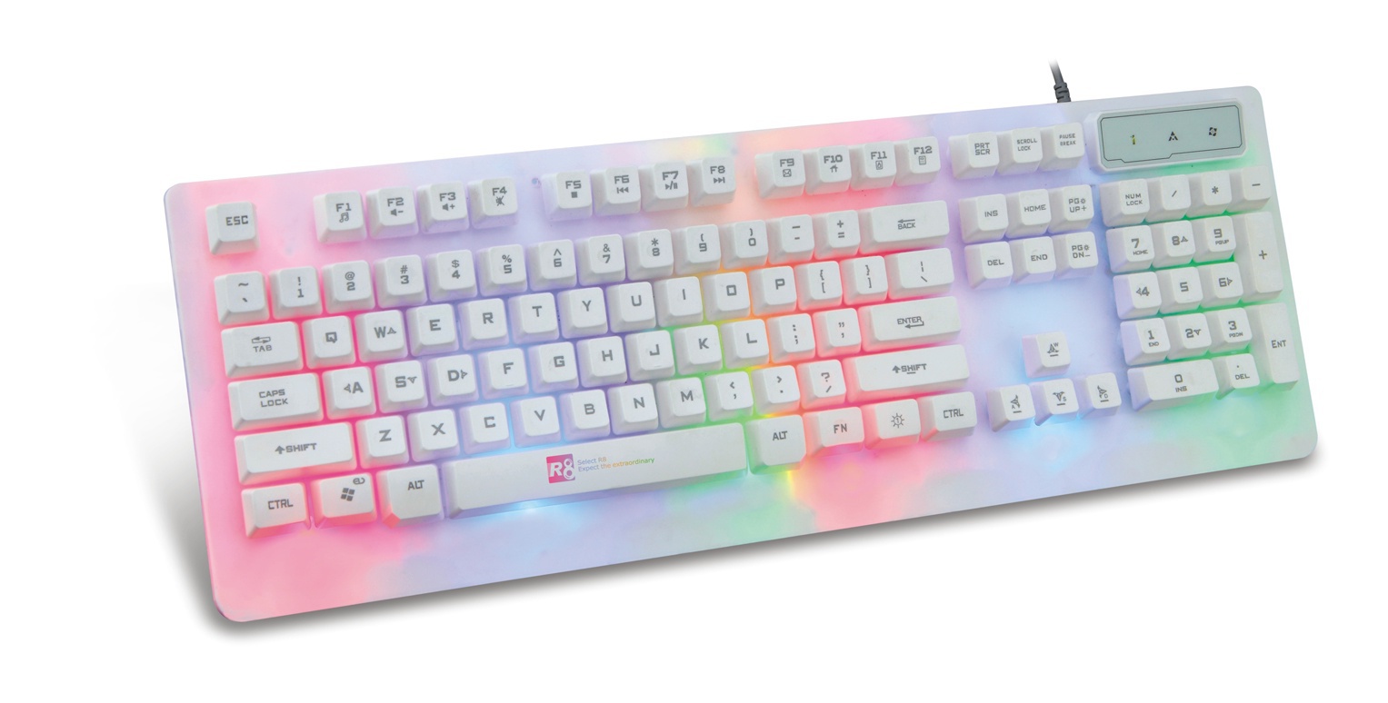 Bàn phím giả cơ giá rẻ R8 1827