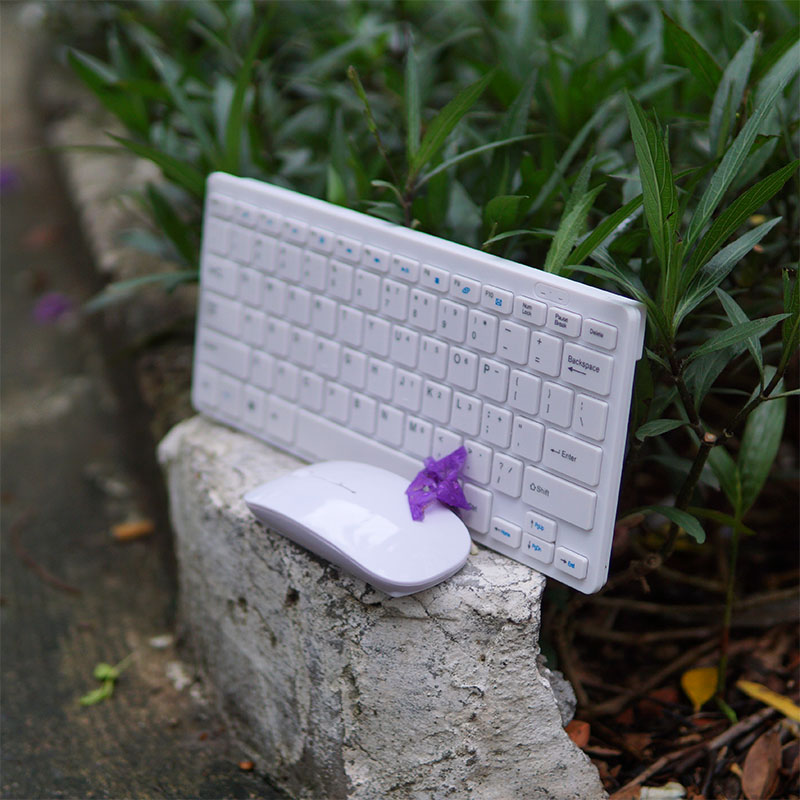 Bàn phím kèm chuột Apple Mini T725 mẫu TKL không phím số