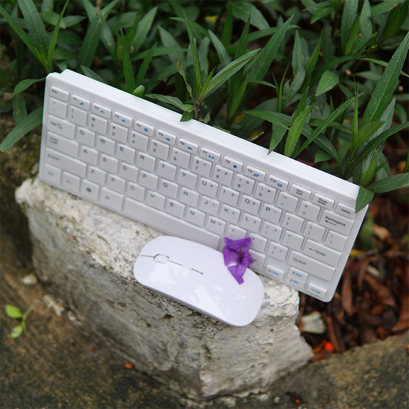 Bàn phím kèm chuột Apple Mini T725 mẫu TKL không phím số