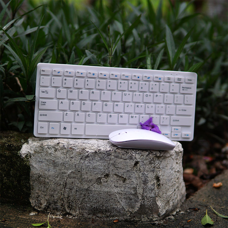 Bàn phím kèm chuột Apple Mini T725 mẫu TKL không phím số