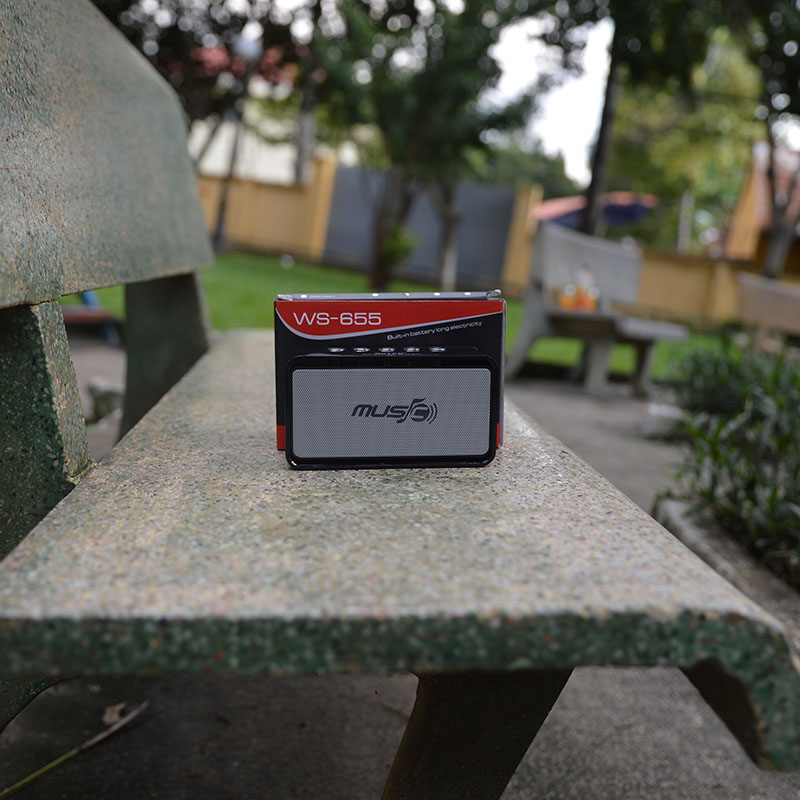 Loa bluetooth giá rẻ WS 655
