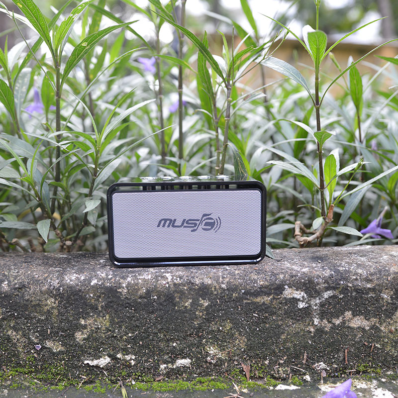 Loa bluetooth giá rẻ WS 655