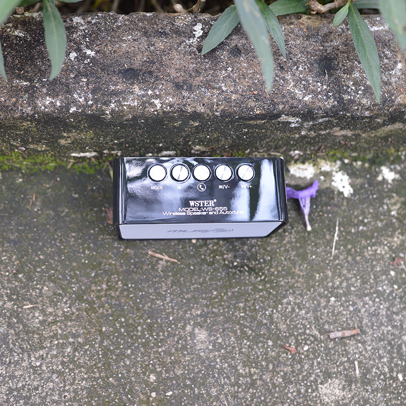 Loa bluetooth giá rẻ WS 655