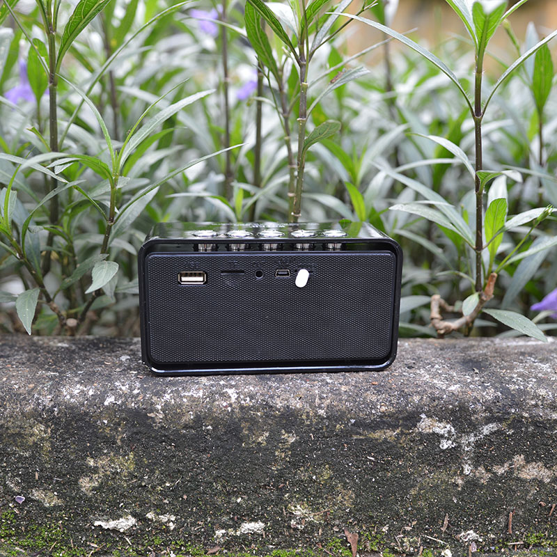 Loa bluetooth giá rẻ WS 655