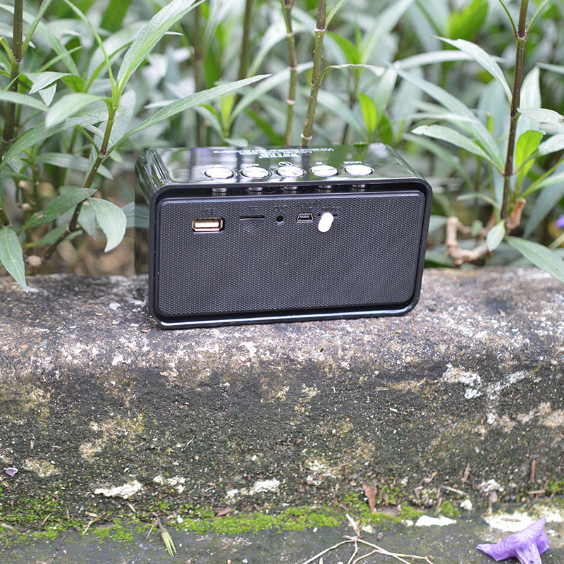 Loa bluetooth giá rẻ WS 655