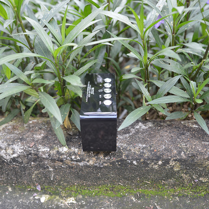 Loa bluetooth giá rẻ WS 655