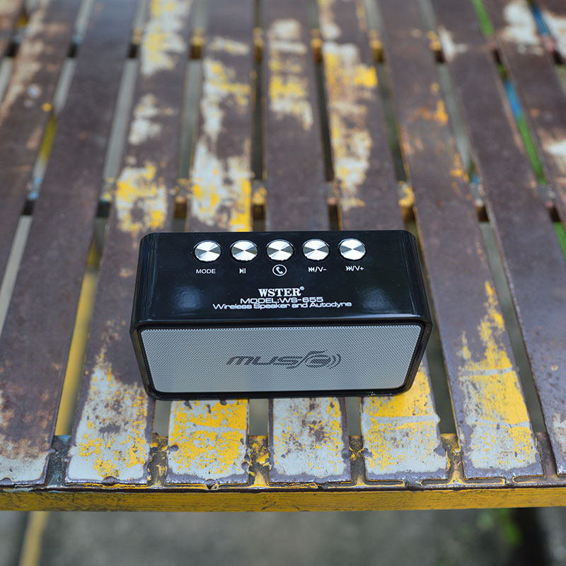 Loa bluetooth giá rẻ WS 655