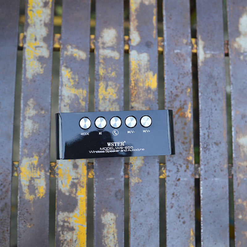 Loa bluetooth giá rẻ WS 655