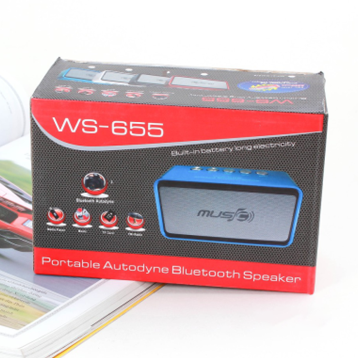 Loa bluetooth giá rẻ WS 655