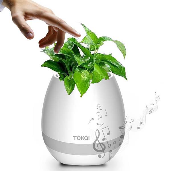 Loa bluetooth kiêm chậu hoa TOKQI23 ( Hàng loại 1 )