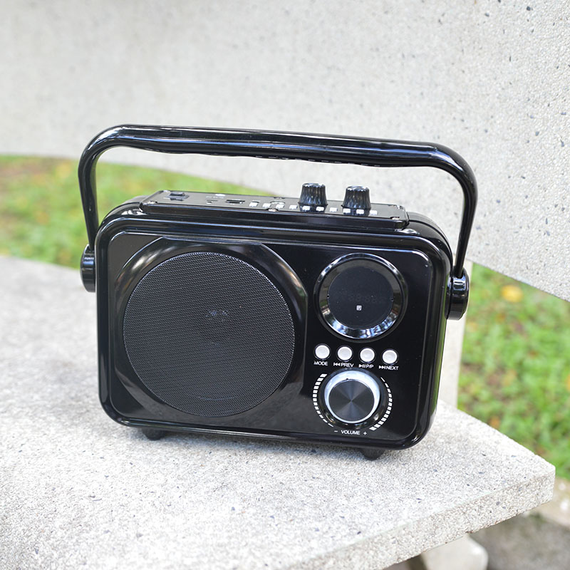 Loa bluetooth karaoke CV 309 - tặng kèm micro có dây