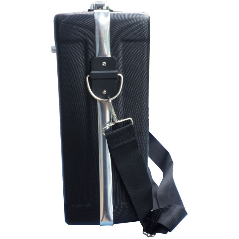 Loa xách tay karaoke Daile S11 - Tặng Micro không dây