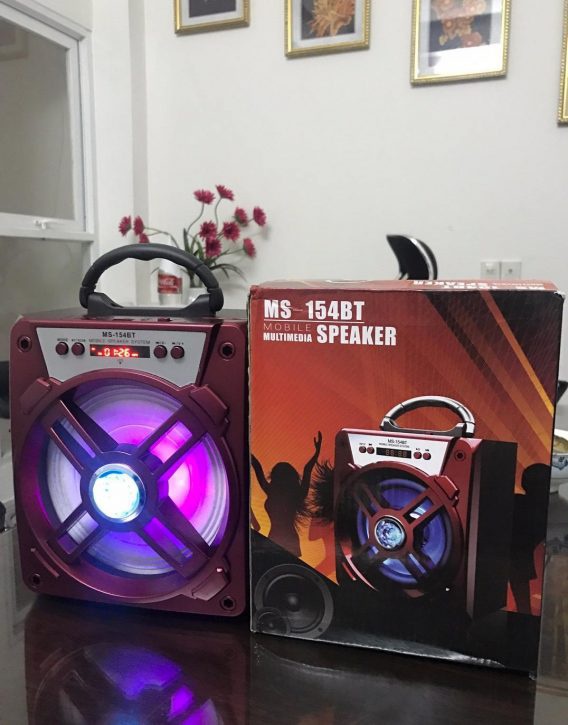 Loa Bluetooth xách tay karaoke 154BT