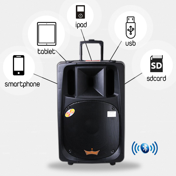 Loa kéo di động FeiYang F607