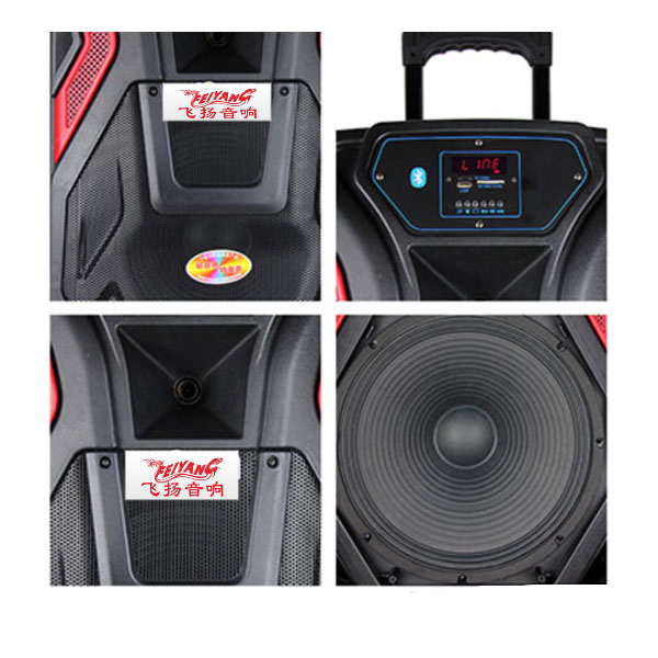 Loa kéo di động FEIYANG SL 15-03