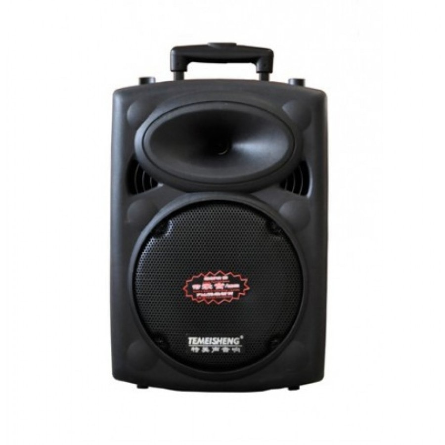 Loa vali kéo giá rẻ DP2305L 4 tấc.