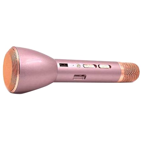 Micro hát karaoke kèm loa k088