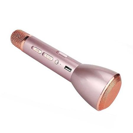 Micro hát karaoke kèm loa k088