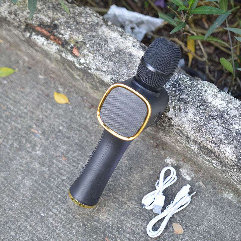 Mic hát karaoke cao cấp TX M10 Đèn Led 2 loa kép