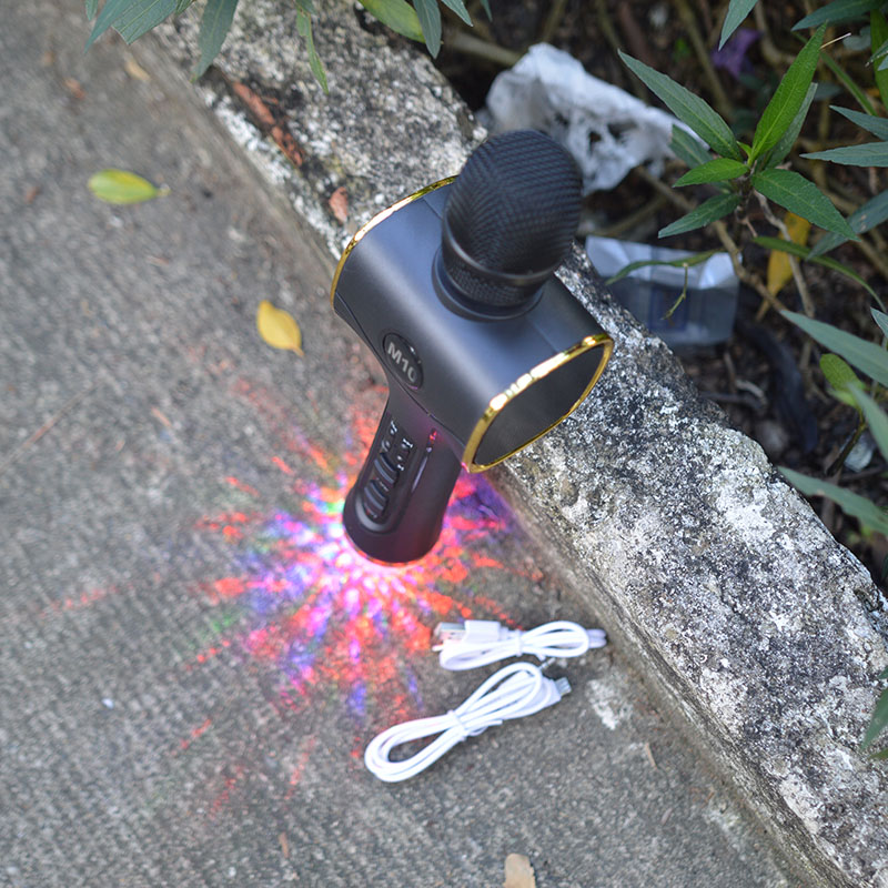 Mic hát karaoke cao cấp TX M10 Đèn Led 2 loa kép