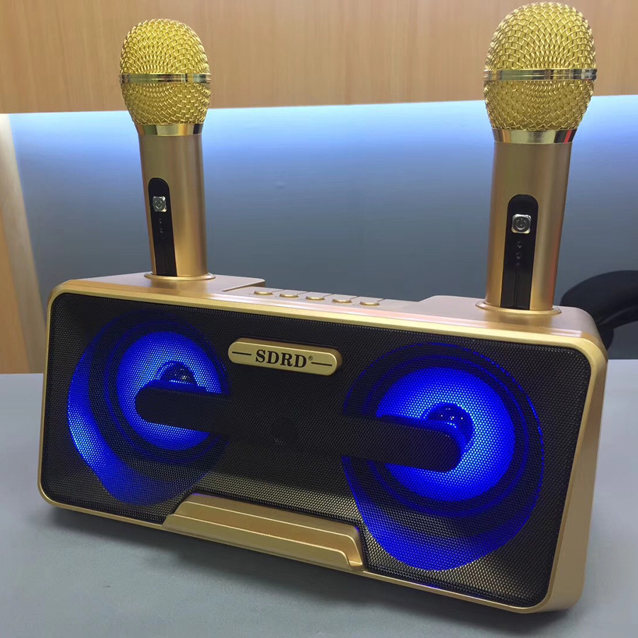 Bộ hai micro bluetooth kèm loa SD301 mẫu mới cực hay