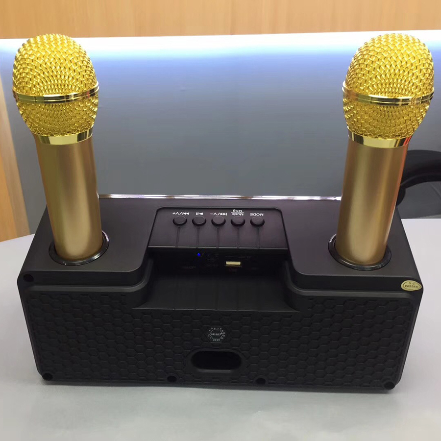 Bộ hai micro bluetooth kèm loa SD301 mẫu mới cực hay