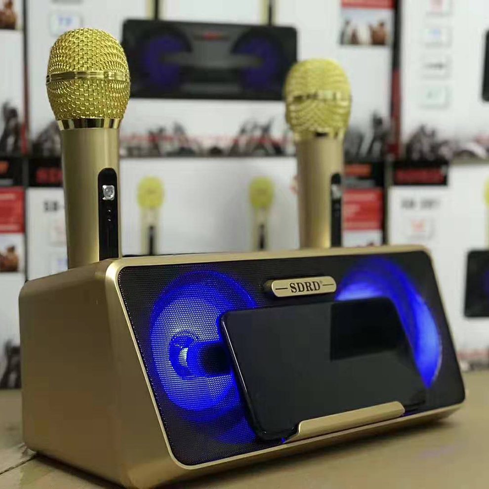Bộ hai micro bluetooth kèm loa SD301 mẫu mới cực hay