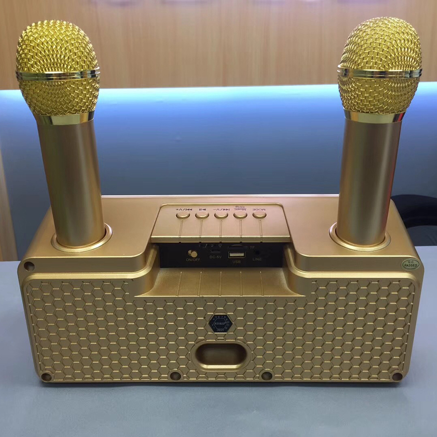 Bộ hai micro bluetooth kèm loa SD301 mẫu mới cực hay