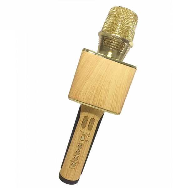 Mic Karaoke Kiêm Loa Bluetooth OK 09