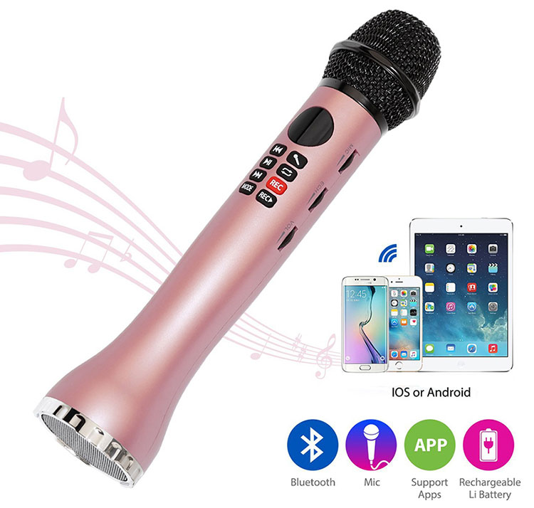 Mic kèm loa LS598 Hút âm đỉnh [Ghi Âm Phím Nóng]