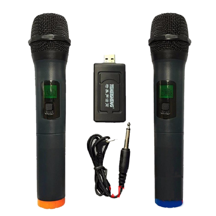 Micro không dây Temeisheng L28 bộ 2 cái