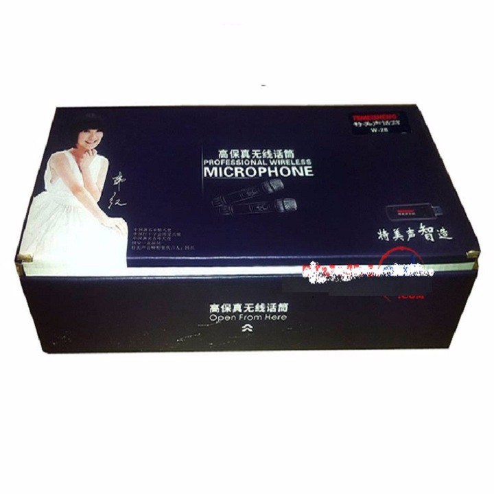 Micro không dây Temeisheng L28 bộ 2 cái