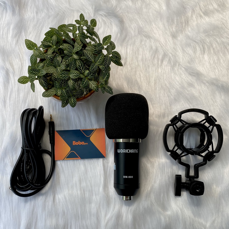 Micro thu âm chuyên nghiệp BM900