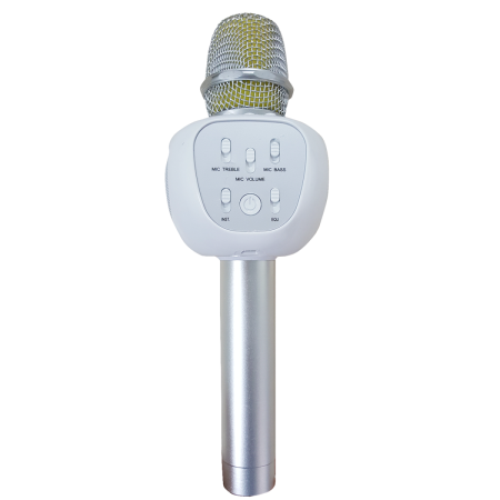 Mic Karaoke Kiêm Loa Bluetooth YHSJ-007