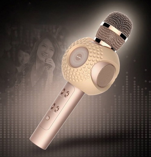 Micro hát Karaoke HIG SEE XT5