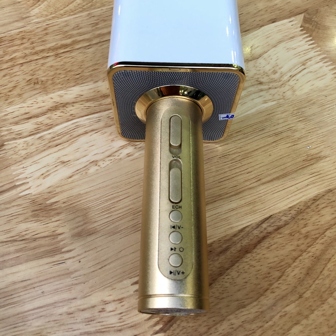 Micro hát karaoke kèm loa YS 11