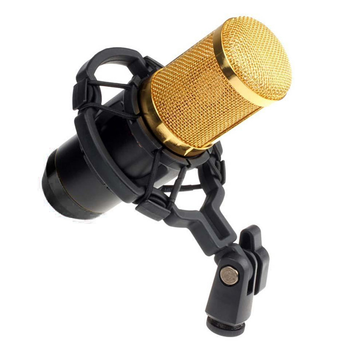 Micro thu âm chuyên nghiệp BM 800 - Đơn chỉ Micro