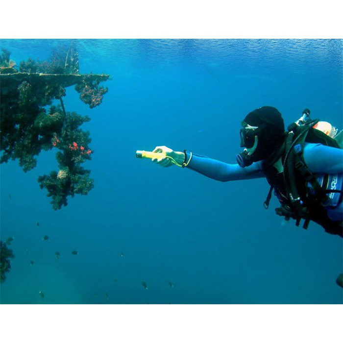 Đèn Pin Chuyên Dụng Soi Dưới Nước Water Light