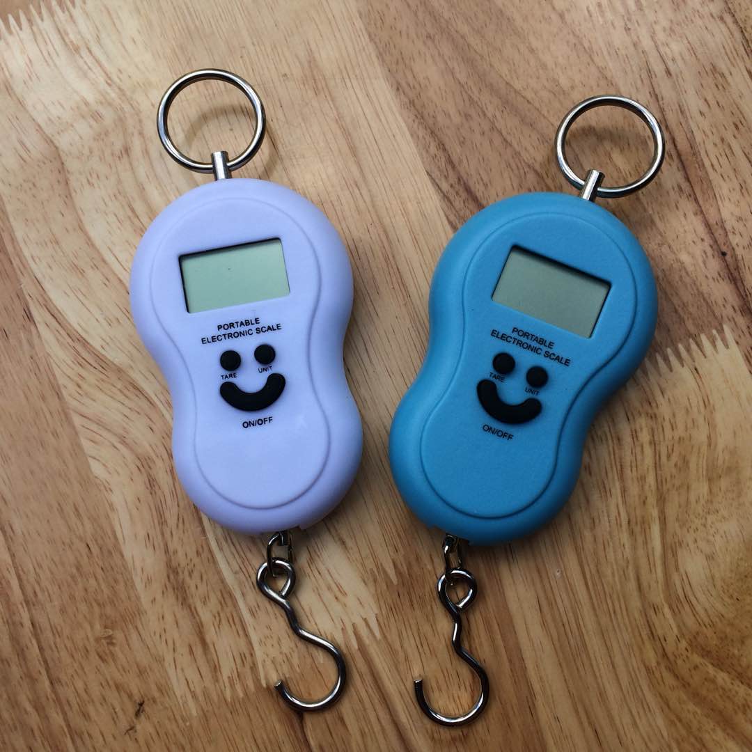 Cân mini cầm tay WeiHeng TH892 - 50Kg Max