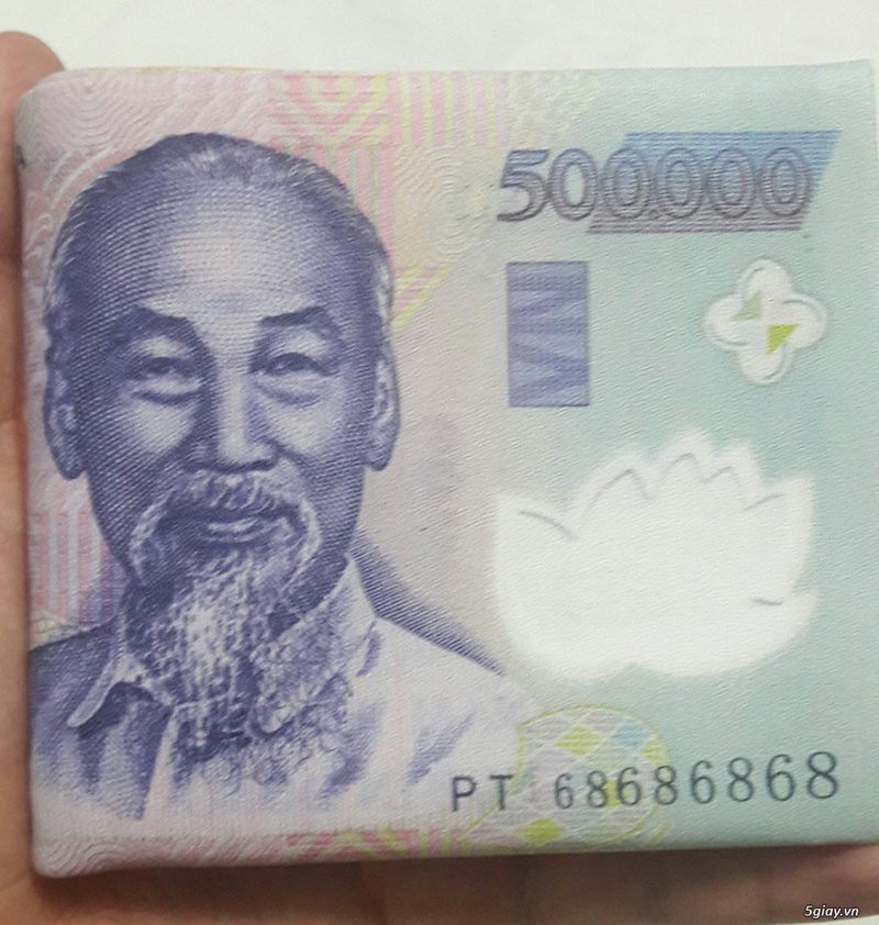 Ví nam hình tiền